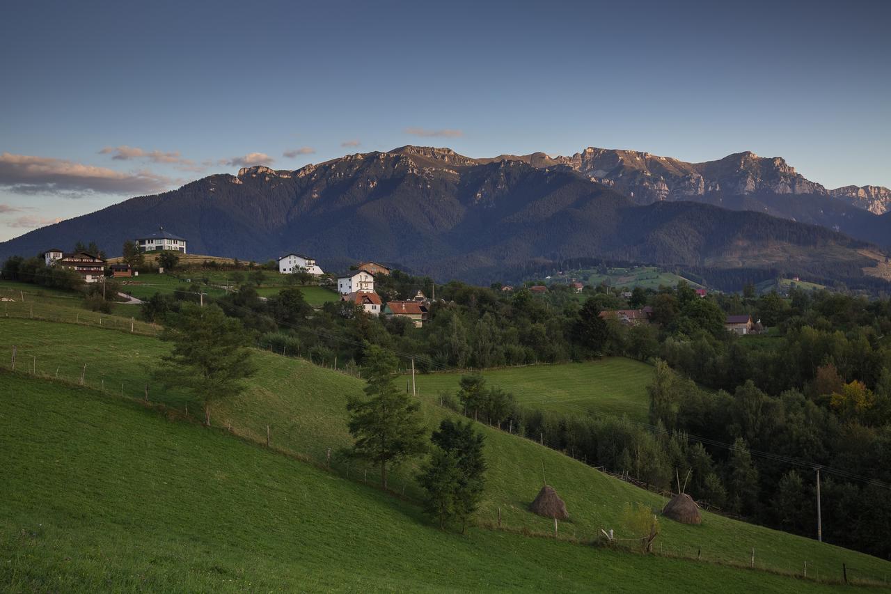 Bran Monte Crai Chalet 外观 照片