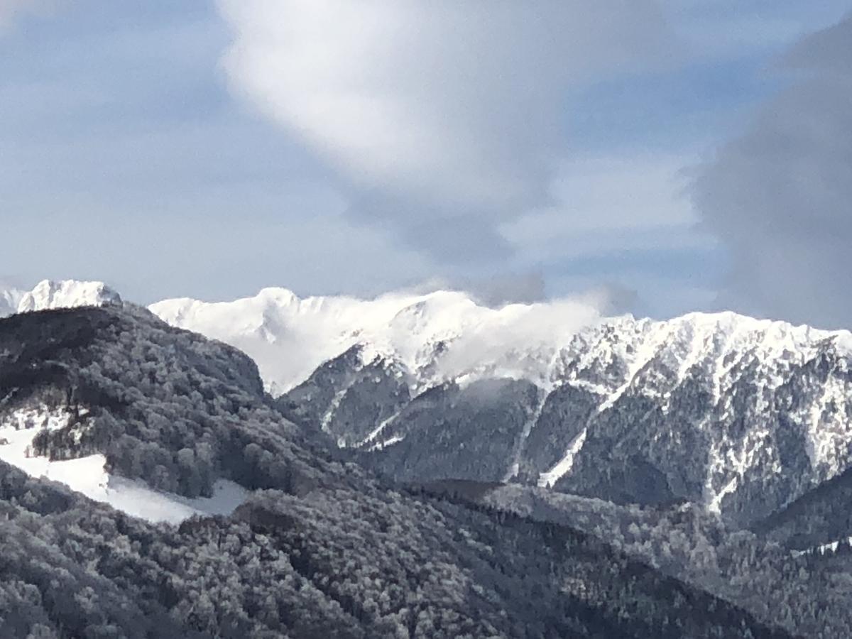 Bran Monte Crai Chalet 外观 照片